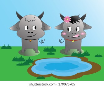 A perfect pair of buffalo with love