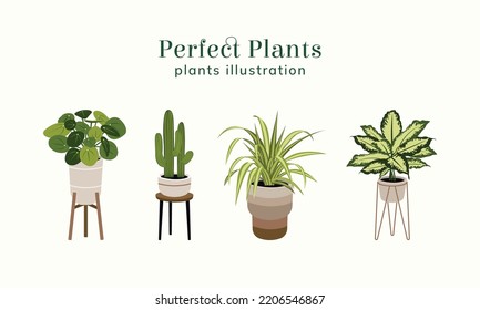 Perfect Plants illustration vector set