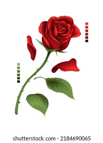 Perfect rose branch with leaves, hand drawing and mesh colored. Ruby red with shadows gradient. A blossoming rosebud. Single vector design element illustration.