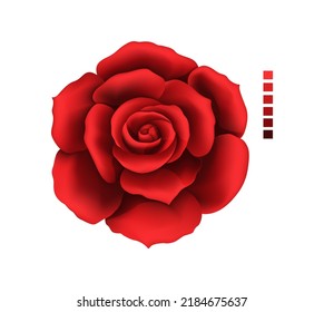 Perfect rose hand drawing and mesh colored. Ruby red with shadows gradient. A blossoming rosebud. Single vector design element illustration.