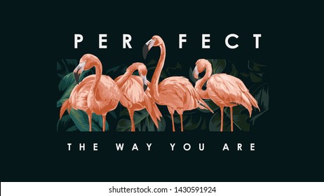 perfect slogan with flamingos in wild forest illustration