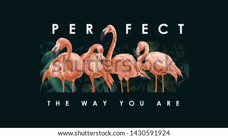 Similar – Image, Stock Photo Flamingos / Camargue