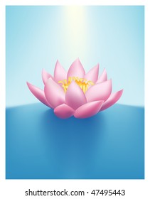 Perfect water Lilly