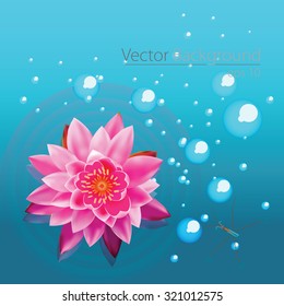 Perfect water lilly vector eps10