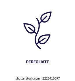 perfoliate icon from nature collection. Thin linear perfoliate, nature, cordate outline icon isolated on white background. Line vector perfoliate sign, symbol for web and mobile