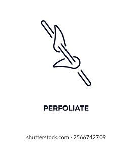 perfoliate outline icon. Linear vector from nature concept. Thin line perfoliate icon isolated on white background