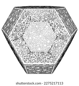 Perforated Polyhedron With Hexagon And Square Sides Solid Shape Vector 01. Illustration Isolated On White Background. A Vector Illustration Of Geometric Shape. Platonic Solids. Geometric Figures.