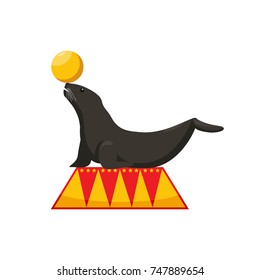 performance of a fur seal in a circus, dressed fur seal juggles with a ball