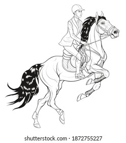 Performance at show jumping competitions. Horse reared and bent its front legs. Rider dressed in jacket and breeches sits on a stallion equipped with sport tack. Vector clip art for equestrian goods.