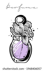 Perfume bottle with iris flowers,  hand drawn vector, color