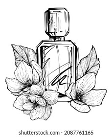 Perfume bottle and jasmine flowers, hand drawn monochrome vector illustration