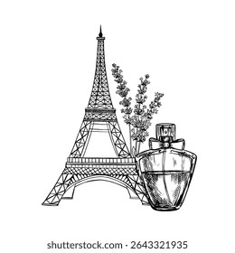 Perfume bottle with lavender flowers and the Eiffel Tower. Black and white vector illustration made by hand in a graphic style. Perfume with the scent of lavender grown in Provence. Design element.