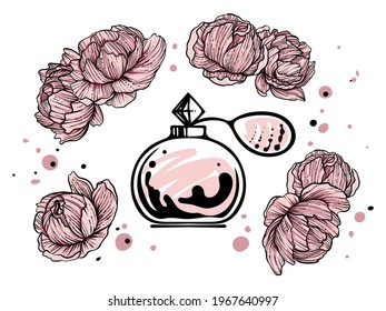 Perfume bottle with peonies vector, color