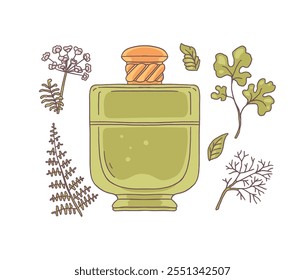 Perfume glass bottle, fennel and dill, parsley or cilantro plant leaves vector flat icons set. Natural seasoning grass fragrance, aromatic ingredients, herbal flavoring. Aromatherapy and meditation