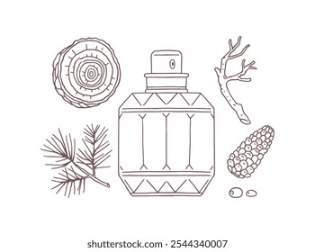 Perfume glass bottle, pine cone, fir wood and spruce branch vector outline icons set. Natural coniferous forest fragrance, aromatic ingredients, woody flavoring. Aromatherapy and meditation