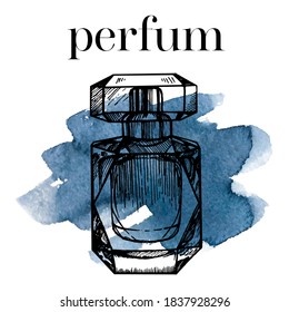 The perfume is a vector. Pen drawing and watercolor blue.