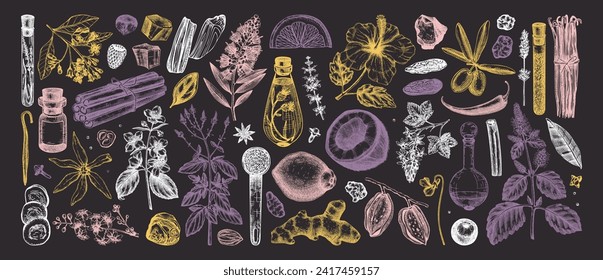 Perfumery and cosmetics ingredients collection. Flower, fruit, spice, herb sketches.  Aromatic plants hand drawn vector illustration.