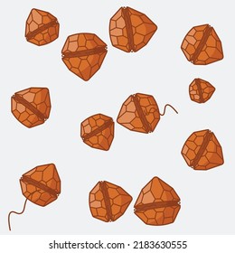 Peridinium Is A Genus Of Motile, Marine And Freshwater Dinoflagellates.   It Can Range From 30 To 70 μm In Diameter, And Has Very Thick Thecal Plates. 