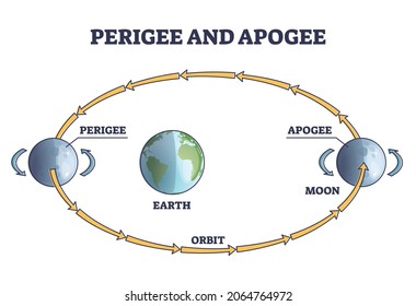 Perigee and apogee moon cycle and orbit around earth outline diagram. Labeled educational astronomy process with elliptical planet movement in space vector illustration. Lunar rotation in cosmos.