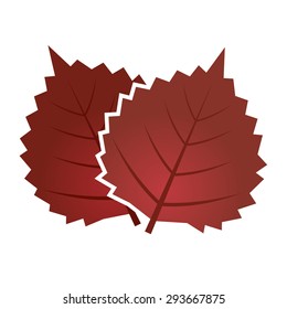 Perilla illustrations