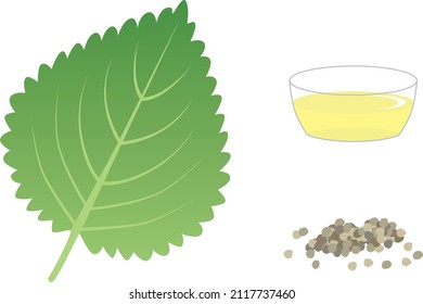 Perilla leaves, seeds and oil.