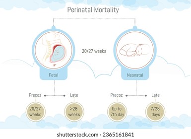 Perinatal mortality types and when it can occur.