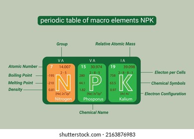 Periodic Table Of Macro Elements NPK, Nitrogen, Phosporus And Kalium, Potassium