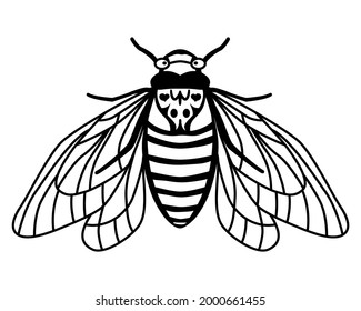 Periodical Cicada Brood X. Contour drawing of an insect with spread wings. Linear style. Silhouette of a flying cicada. Summer print. Vector illustration isolated on white background. Cicada bug
