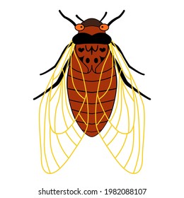 Periodical cicadas Brood X  Cartoon illustration an insect and wings   tentacles  Cicada    flat illustration  top view  isolated white background  17 year old cicadas  Red  eyed insect