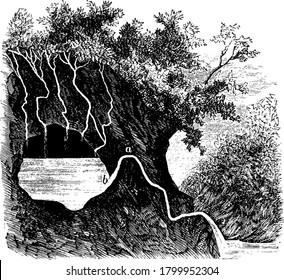 Periodical spring is a well where tributaries are draining their water, vintage line drawing or engraving illustration.