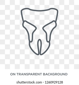 Periodontal disease icon. Trendy flat vector Periodontal disease icon on transparent background from Diseases   collection. High quality filled Periodontal disease symbol use for web and mobile