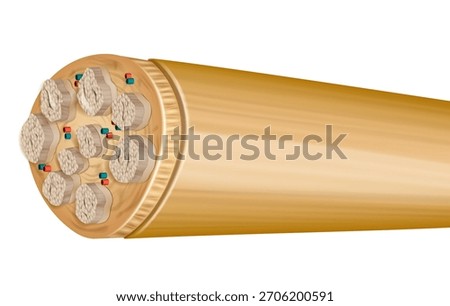 Peripheral Nerve Cross Section with Fascicles and Connective Layers. Detailed Illustration of Nerve Fascicles in Peripheral Nervous System. Anatomical Structure