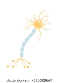 Peripheral Neuropathy Nerve Damage Vector Illustration