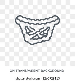 Peritonitis icon. Trendy flat vector Peritonitis icon on transparent background from Diseases   collection. High quality filled Peritonitis symbol use for web and mobile
