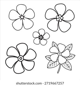 Periwinkle flower illustration vector coloring page