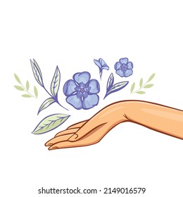 Periwinkle flower over  Women's Hand against White Background. Good for Feminine  and Eco Friendly Products illustration