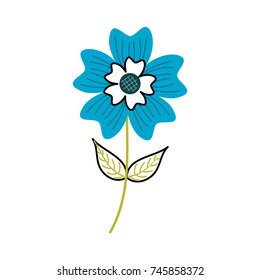 periwinkle flower petal leaves stem nature plant