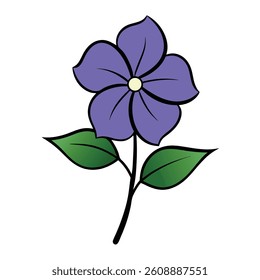 periwinkle flower vector image on white background