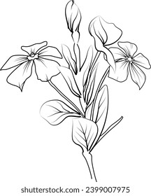 Flores de perwinkle página de colorear, simplicidad, embellecimiento, monocromo, arte vectorial, impresión de contorno con flores Cataranthus, hojas y brotes tatuajes de flores de vinca, aislados en un blanco