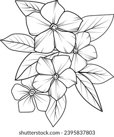 Periwinkle flowers illustration coloring page, simplicity, Embellishment, monochrome, vector art, Outline print with blossoms Periwinkle flower, catharanthus roseus bouquet leaves