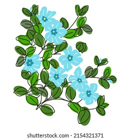 Periwinkle flowers with leaves. Vector illustration.