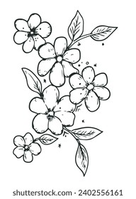 Periwinkle Flowers Vector Illustrations. You can give it the color you like. Simple Design Outline Style.