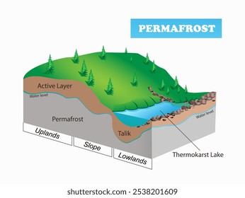 Permafrost diagram. Science education vector 3d illustration