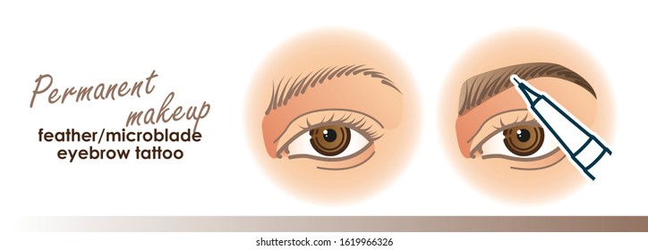 Permanent makeup illustration. Feather, microblade eyebrow tattoo procedure. For your design