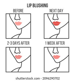 Permanent makeup lips. Lip blushing. Permanent makeup healing process. Before and after the procedure. Vector illustration