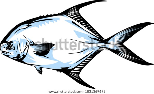 Permit Fish Vector Illustration Vector Stock Vector (Royalty Free ...