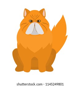 Persian breed cat color icon. Flat design