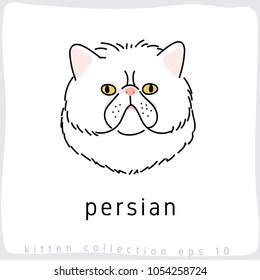 Persian : Cat Breed Collection : Vector Illustration