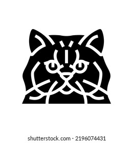 persian cat cute pet glyph icon vector. persian cat cute pet sign. isolated symbol illustration