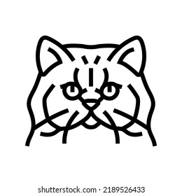 persian cat cute pet line icon vector. persian cat cute pet sign. isolated contour symbol black illustration